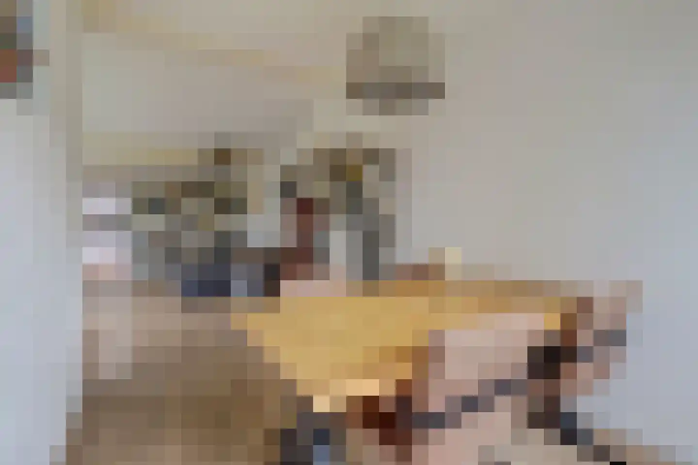 Cederlaan 5 Veenendaal thumbnail 16
