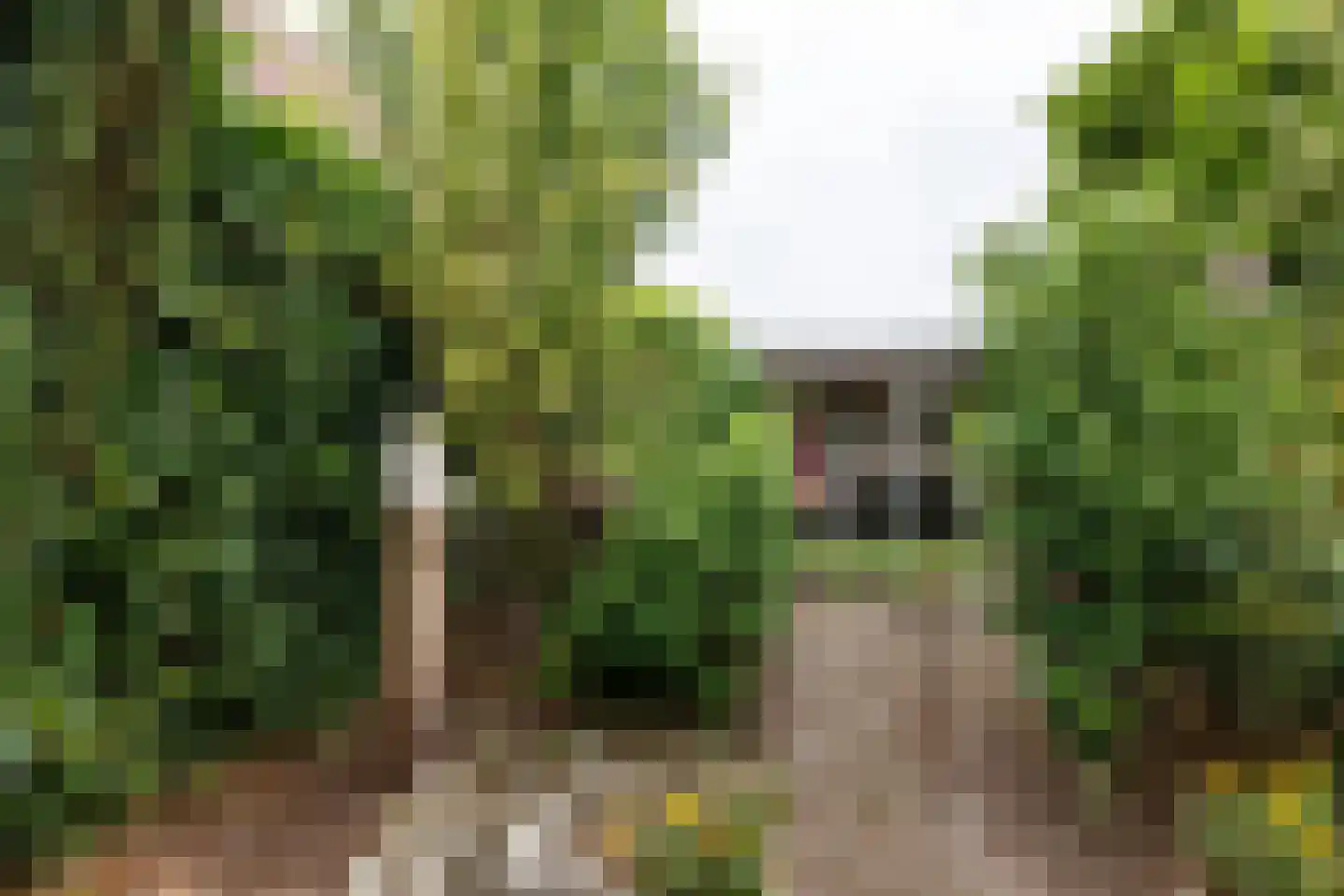 Cederlaan 5 Veenendaal thumbnail 16