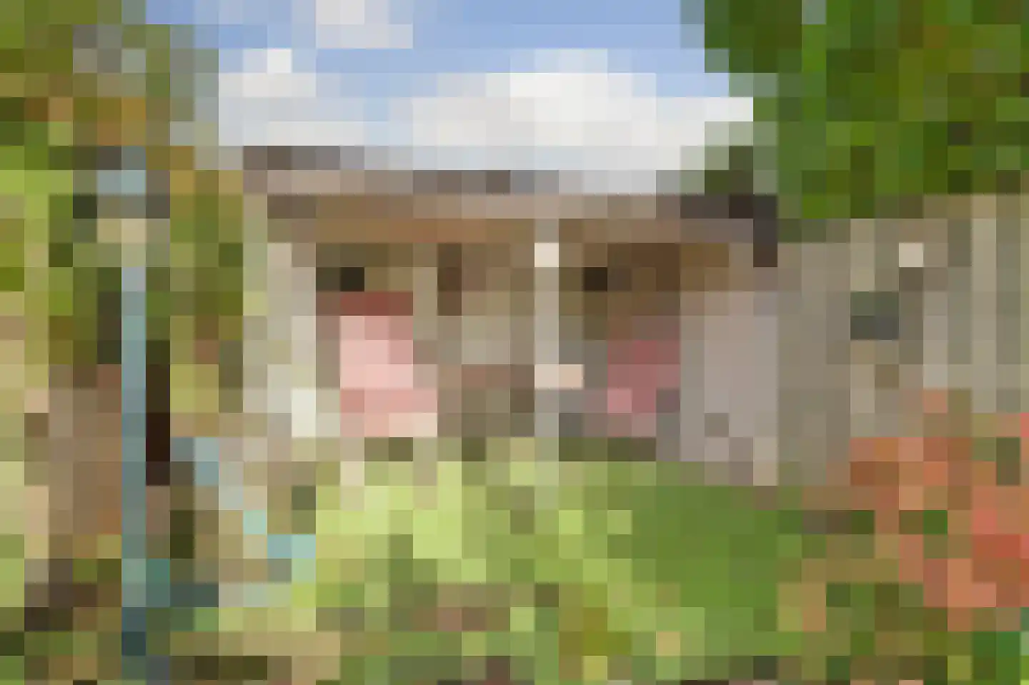 Cederlaan 5 Veenendaal thumbnail 33