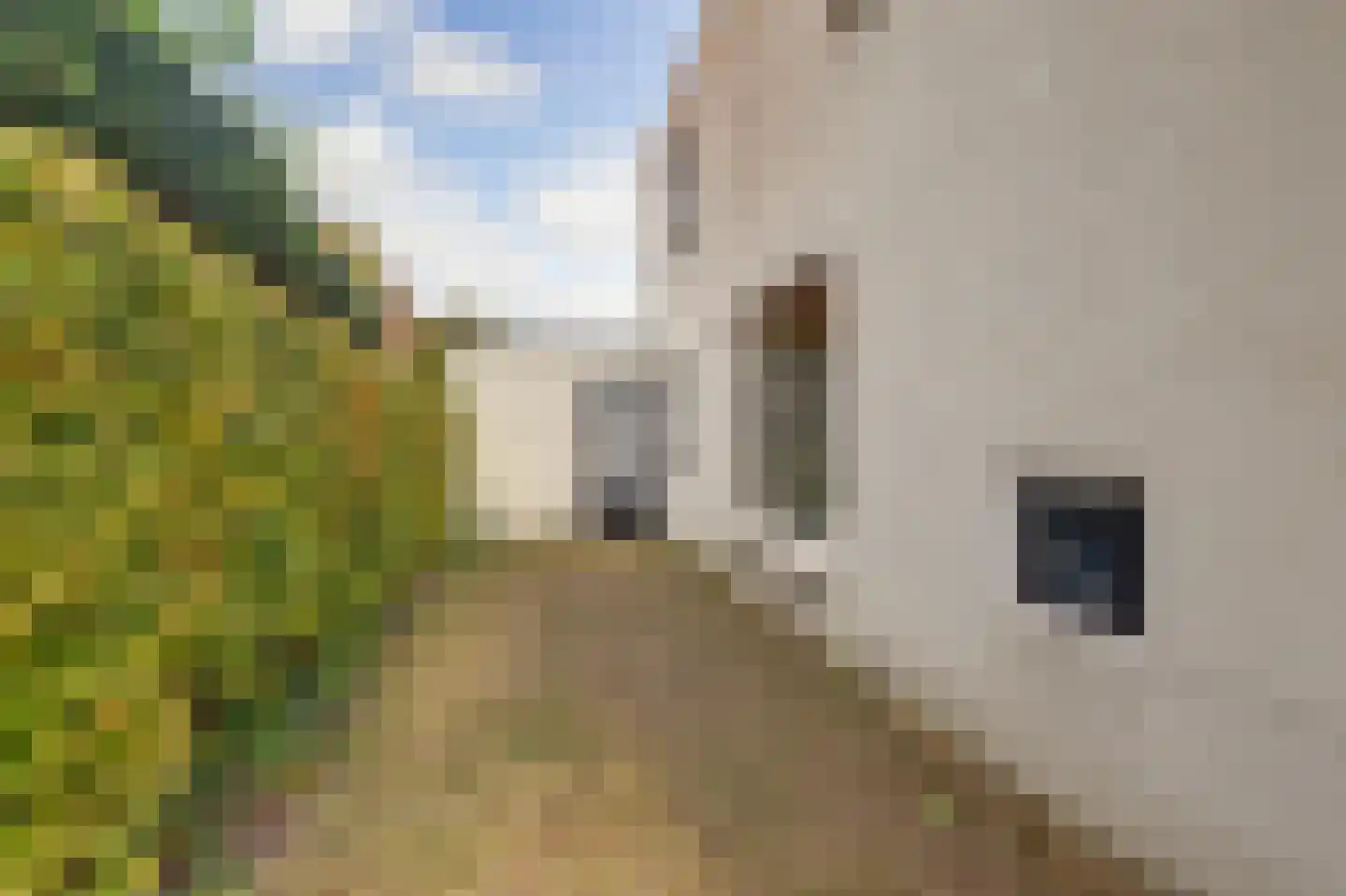 Cederlaan 5 Veenendaal thumbnail 35