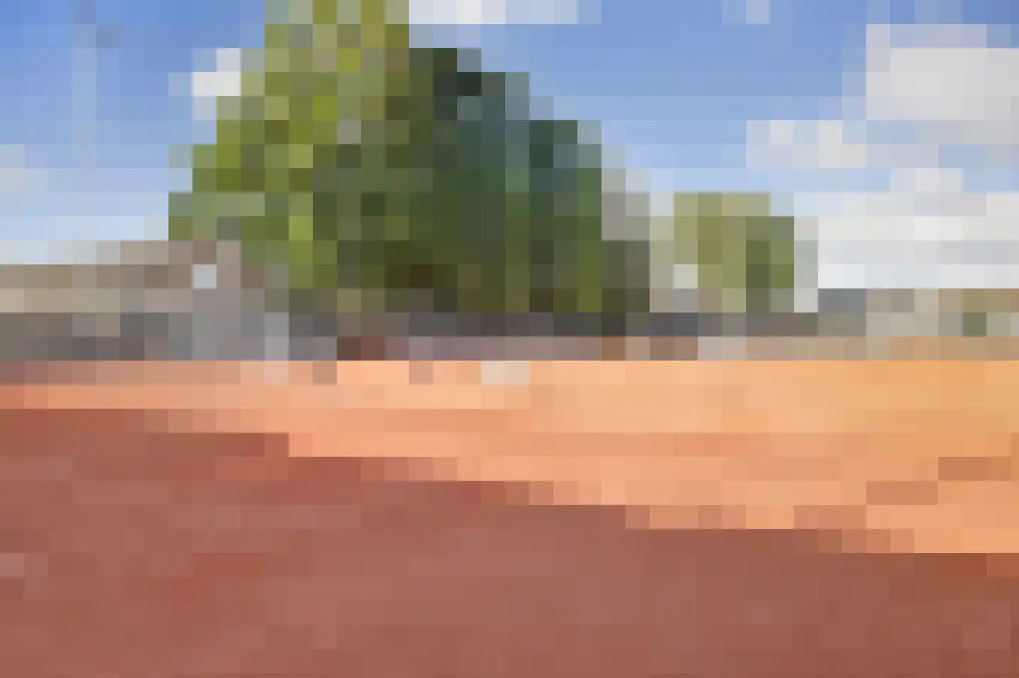 Cederlaan 5 Veenendaal thumbnail 38