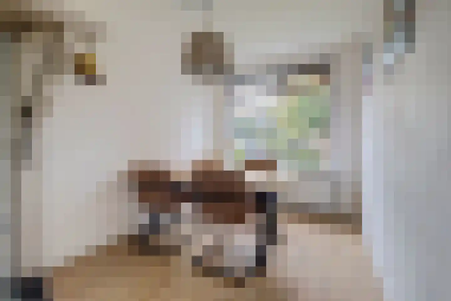 Cederlaan 5 Veenendaal thumbnail 5
