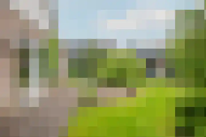Cederlaan 9 Exloo thumbnail 26
