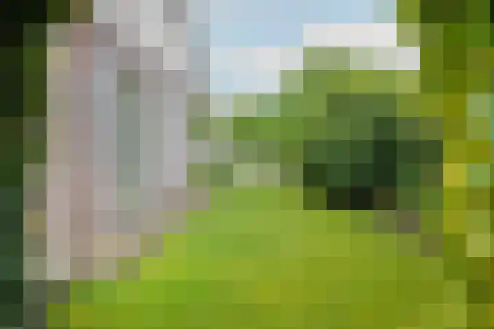 Cederlaan 9 Exloo thumbnail 27