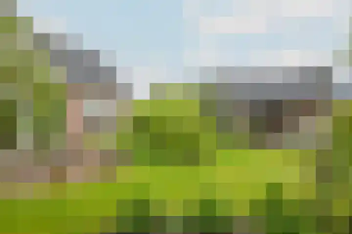 Cederlaan 9 Exloo thumbnail 28
