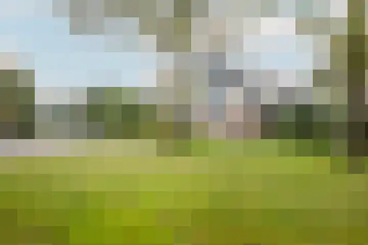 Cederlaan 9 Exloo thumbnail 29