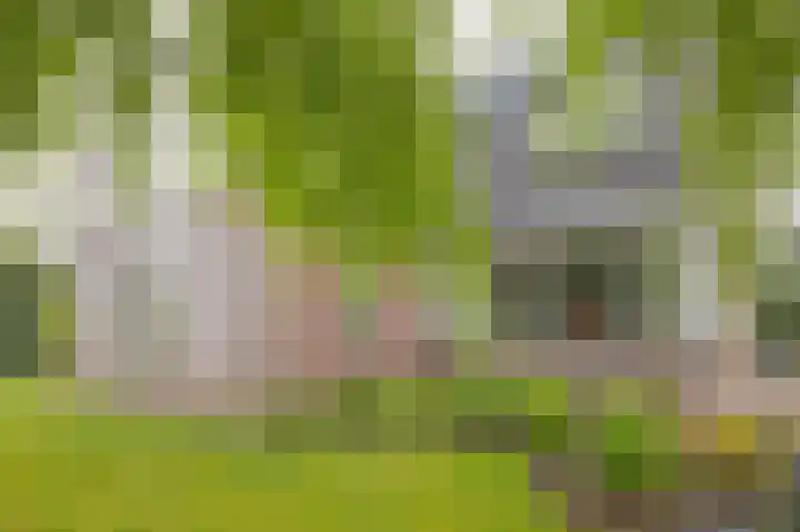 Cederlaan 9 Exloo thumbnail 30