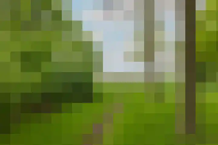 Cederlaan 9 Exloo thumbnail 31