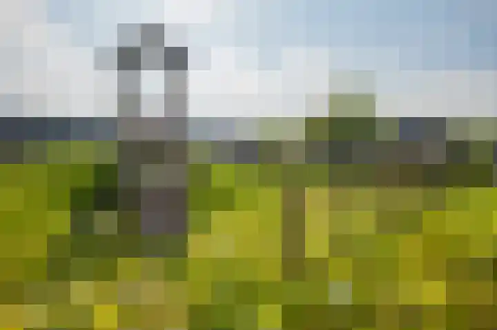 Cederlaan 9 Exloo thumbnail 32
