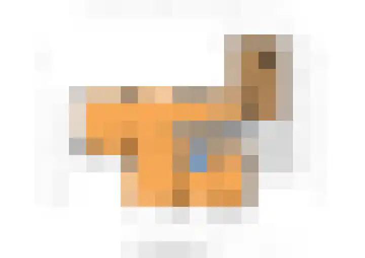 Cederlaan 9 Exloo thumbnail 33