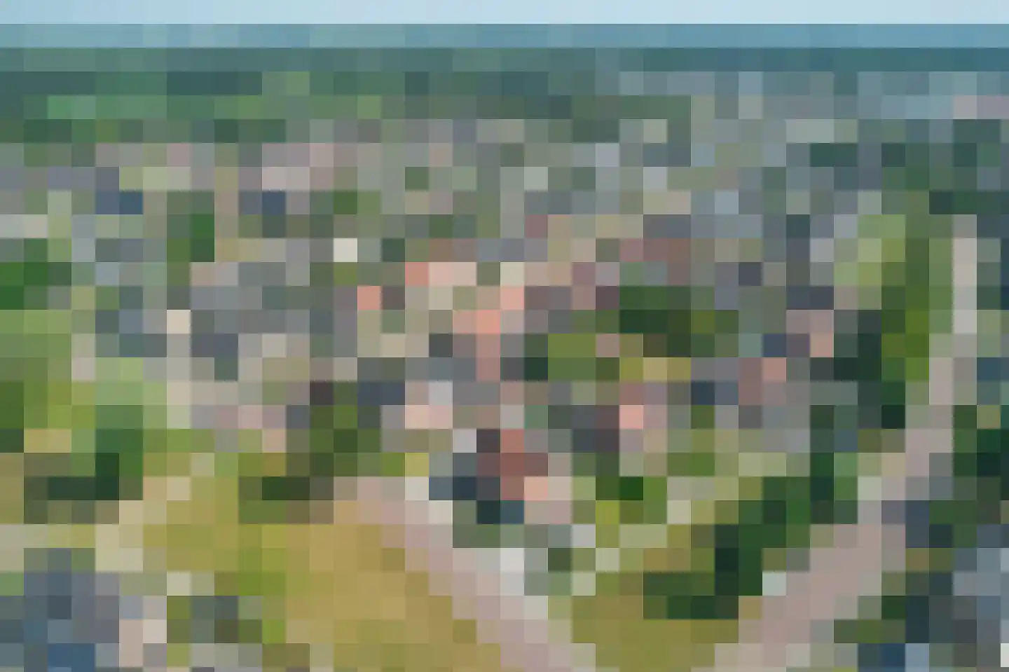 Cederlaan 9 Roden thumbnail 44