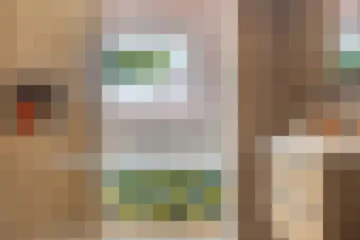 Cederlaar 14 Veghel thumbnail 14