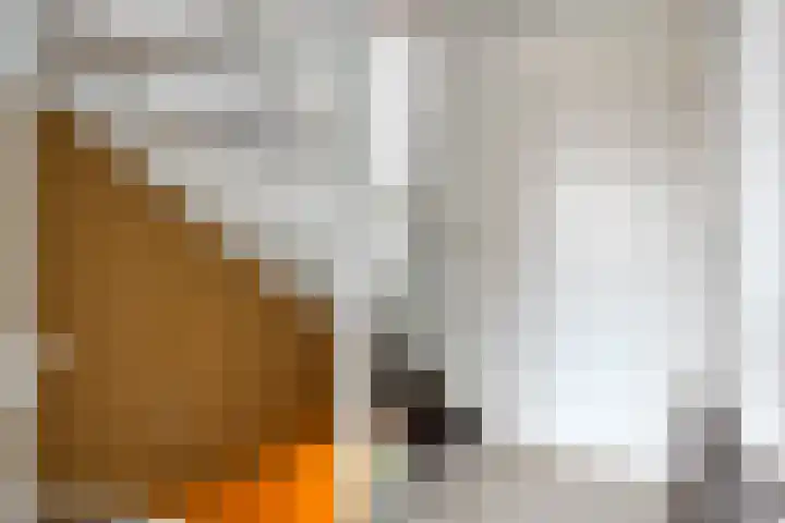 Cederlaar 14 Veghel thumbnail 17