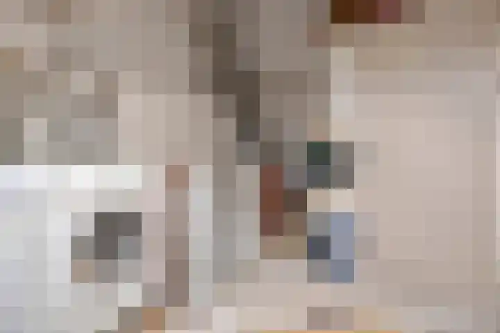 Cederlaar 14 Veghel thumbnail 18