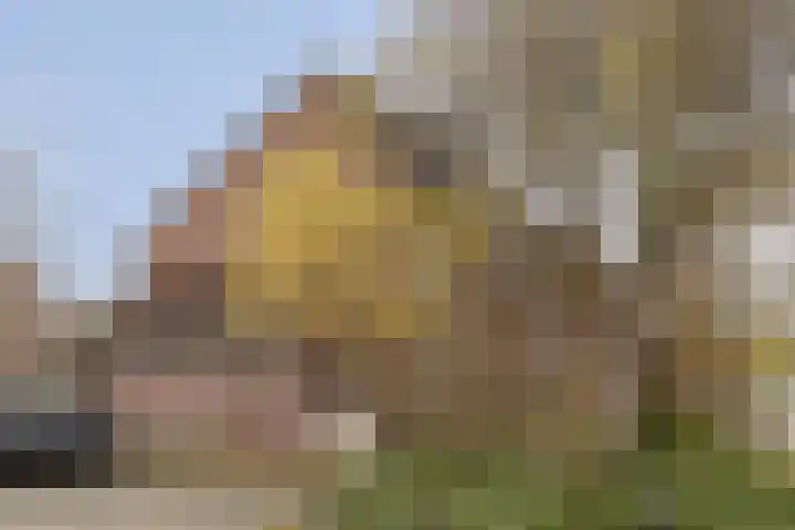 Cederlaar 14 Veghel foto 2