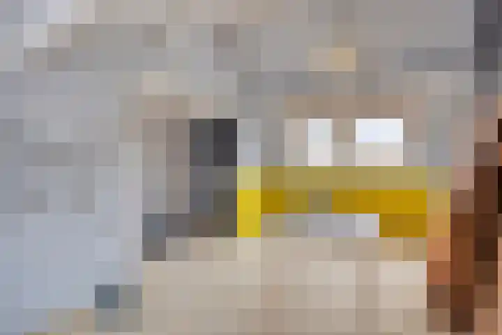 Cederlaar 14 Veghel thumbnail 20