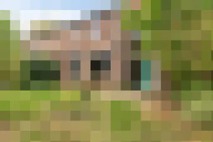 Cederlaar 14 Veghel thumbnail 21