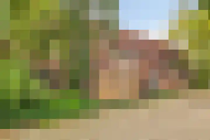 Cederlaar 14 Veghel thumbnail 23