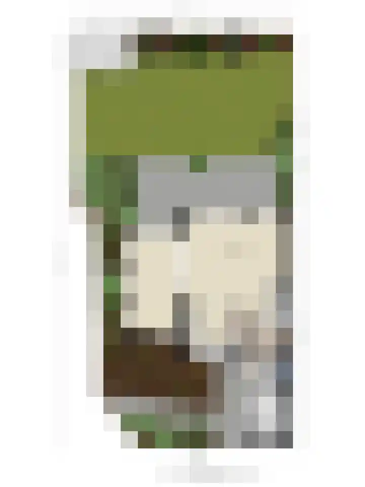 Cederlaar 14 Veghel thumbnail 25