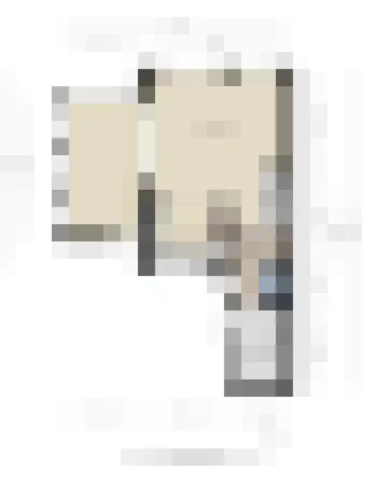 Cederlaar 14 Veghel thumbnail 26