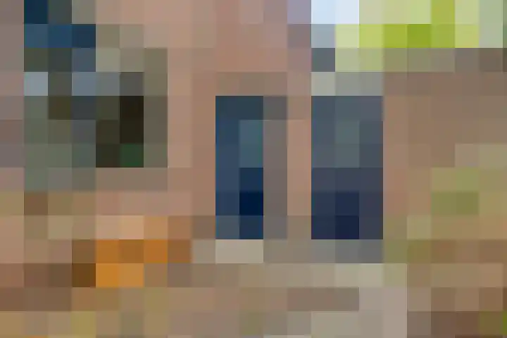 Cederlaar 14 Veghel thumbnail 4