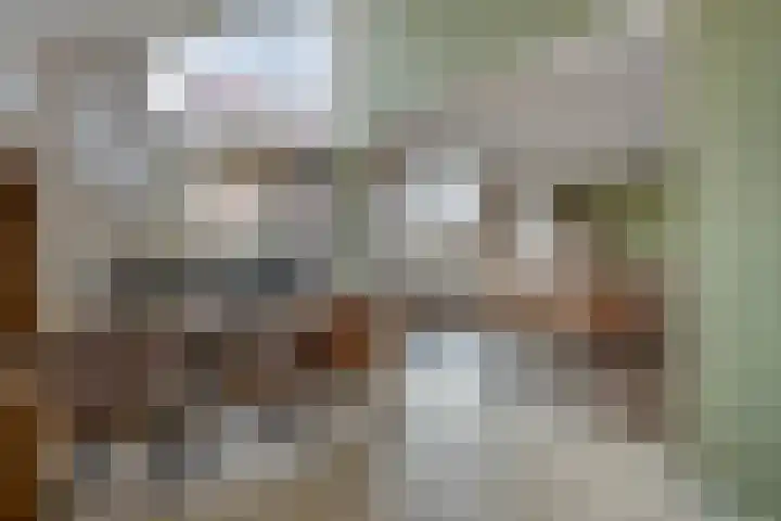 Cederlaar 14 Veghel thumbnail 5