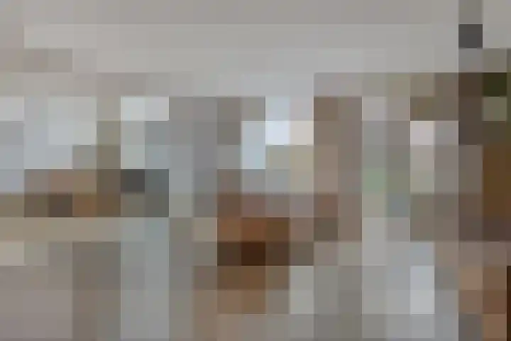 Cederlaar 14 Veghel thumbnail 6