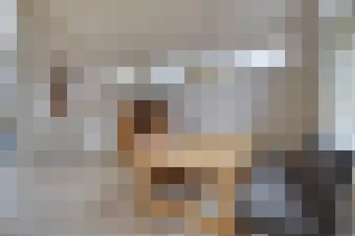 Cederlaar 14 Veghel thumbnail 7