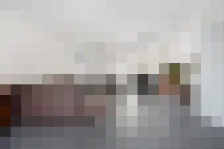 Cederlaar 64 Veghel thumbnail 11