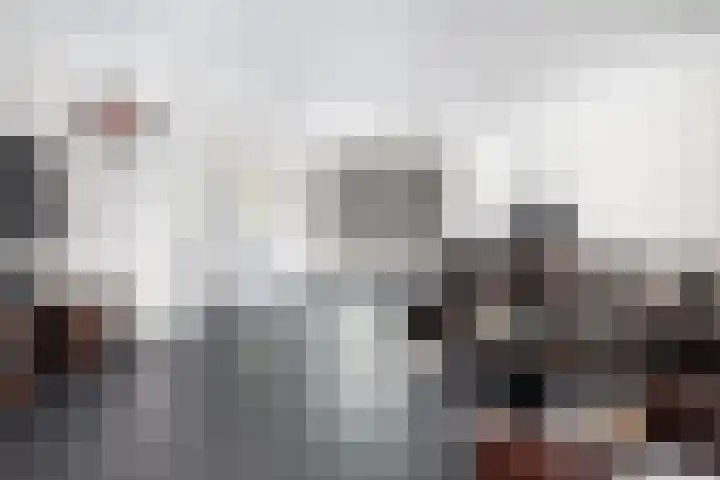 Cederlaar 64 Veghel thumbnail 14