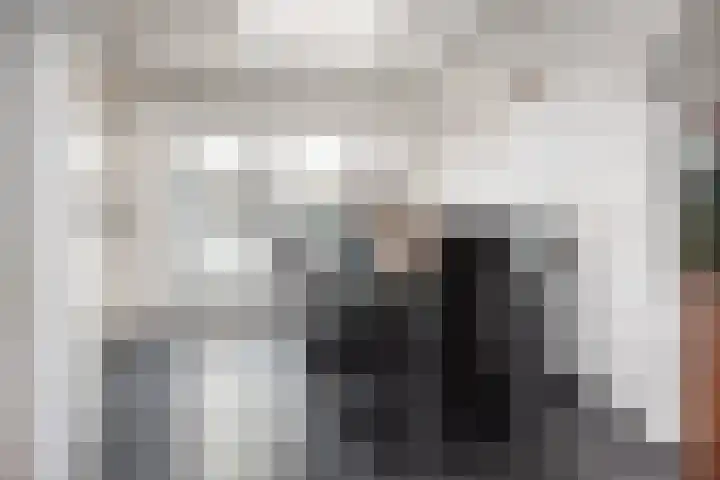 Cederlaar 64 Veghel thumbnail 15