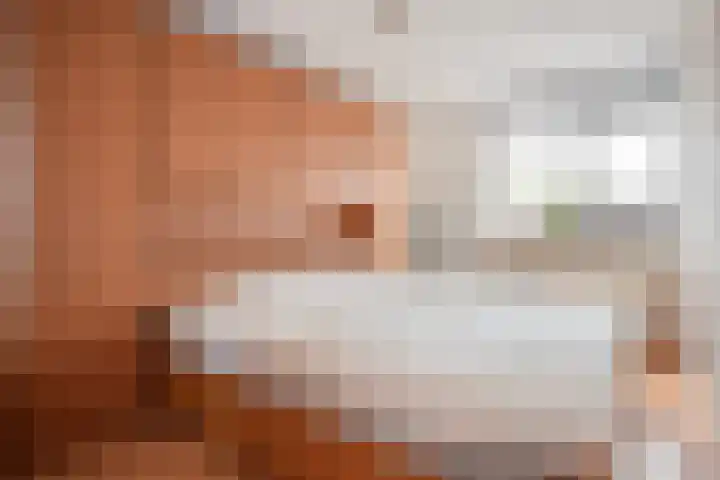 Cederlaar 64 Veghel thumbnail 18