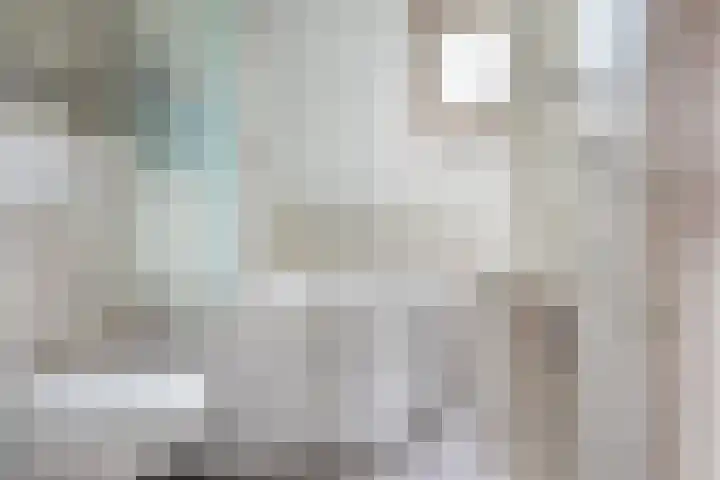 Cederlaar 64 Veghel thumbnail 6