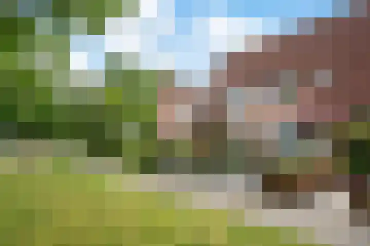 Cederlaar 64 Veghel thumbnail 8