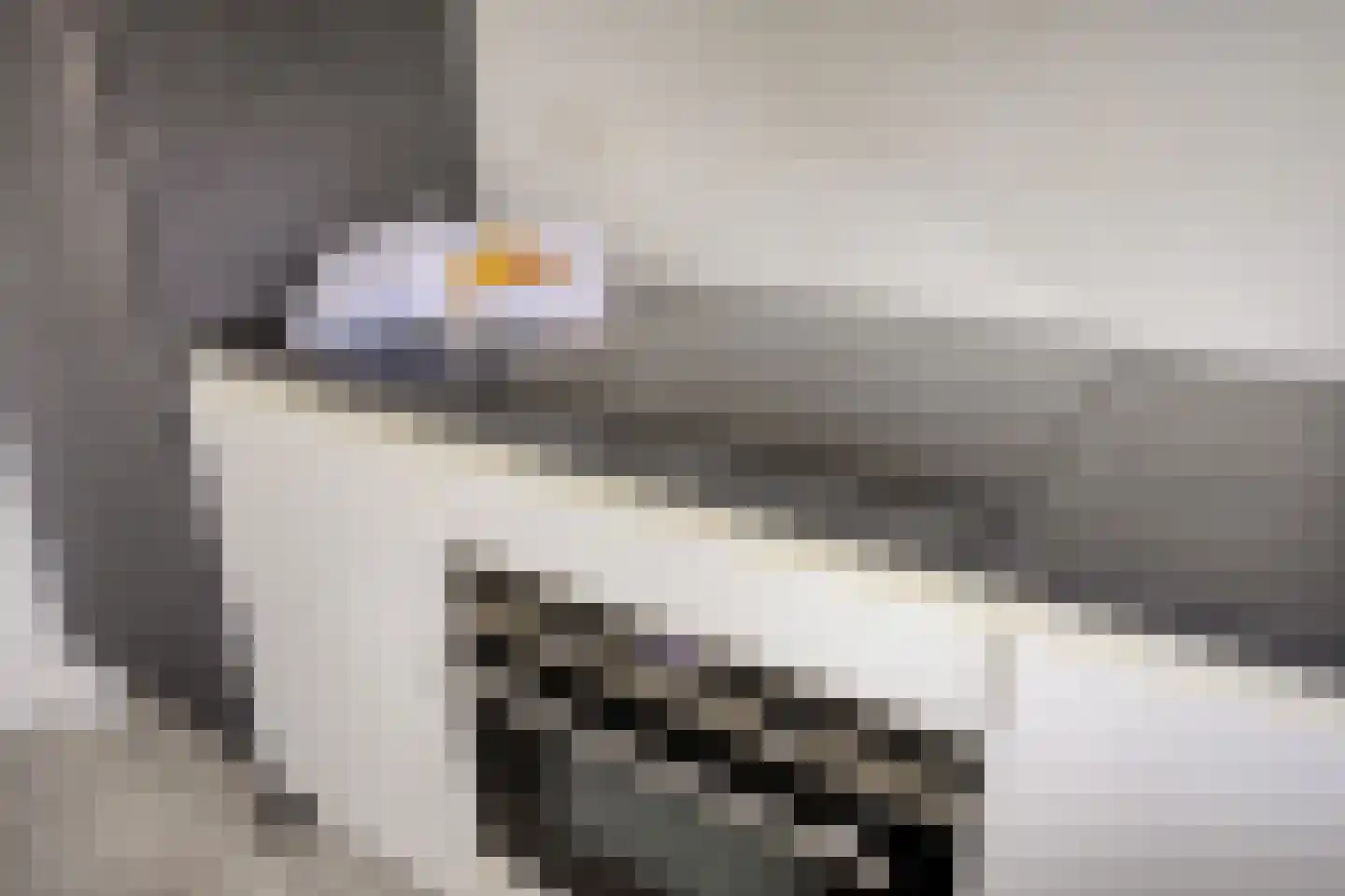 Cederlaar 67 Veghel thumbnail 17