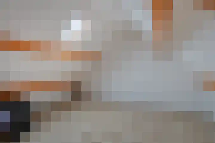 Cederlaar 67 Veghel thumbnail 29