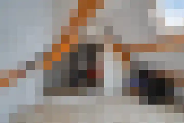 Cederlaar 67 Veghel thumbnail 30