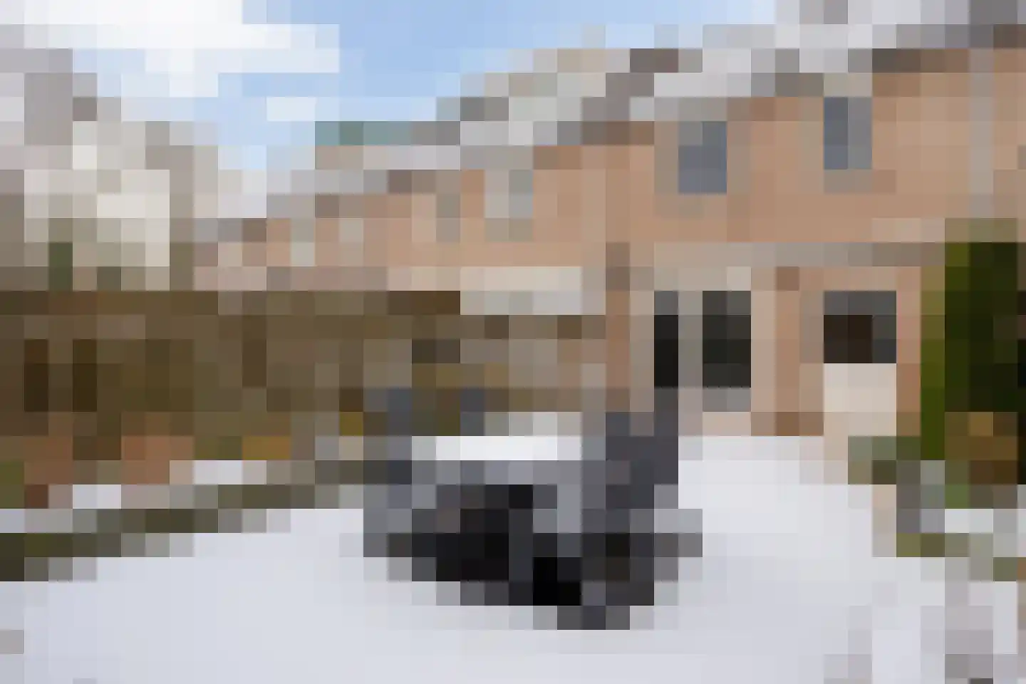 Cederlaar 67 Veghel thumbnail 32