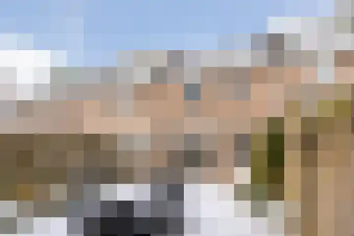 Cederlaar 67 Veghel thumbnail 5