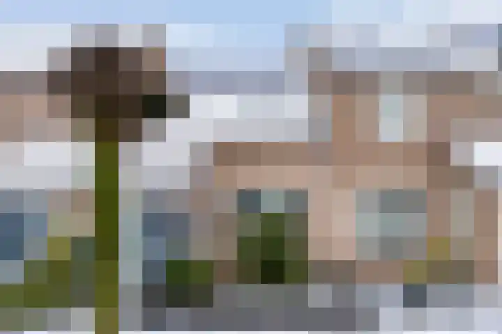 Cederlaar 67 Veghel thumbnail 6