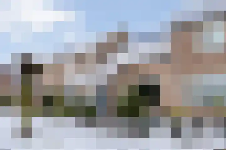 Cederlaar 67 Veghel thumbnail 7