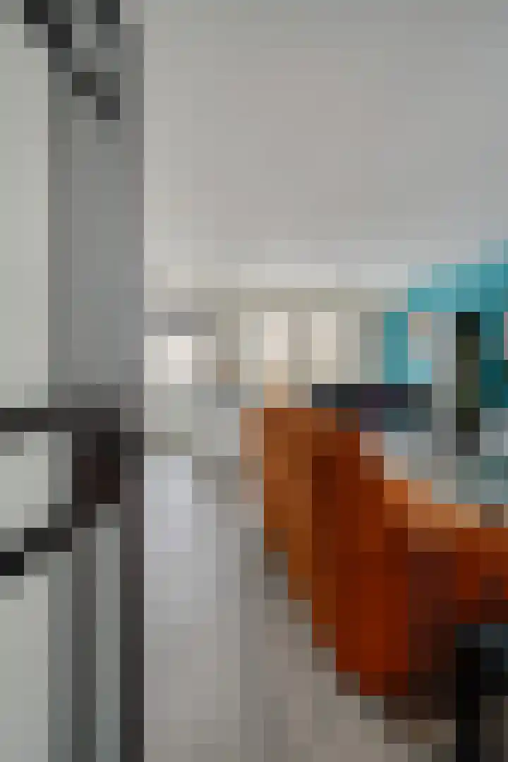 Cederlaar 67 Veghel thumbnail 9