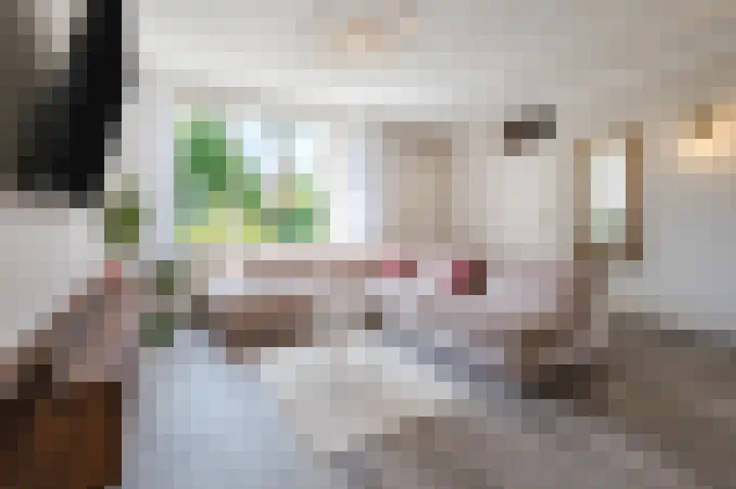 Cederlaar 71 Veghel thumbnail 12