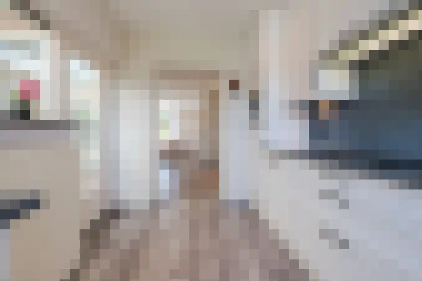 Cederlaar 71 Veghel thumbnail 19
