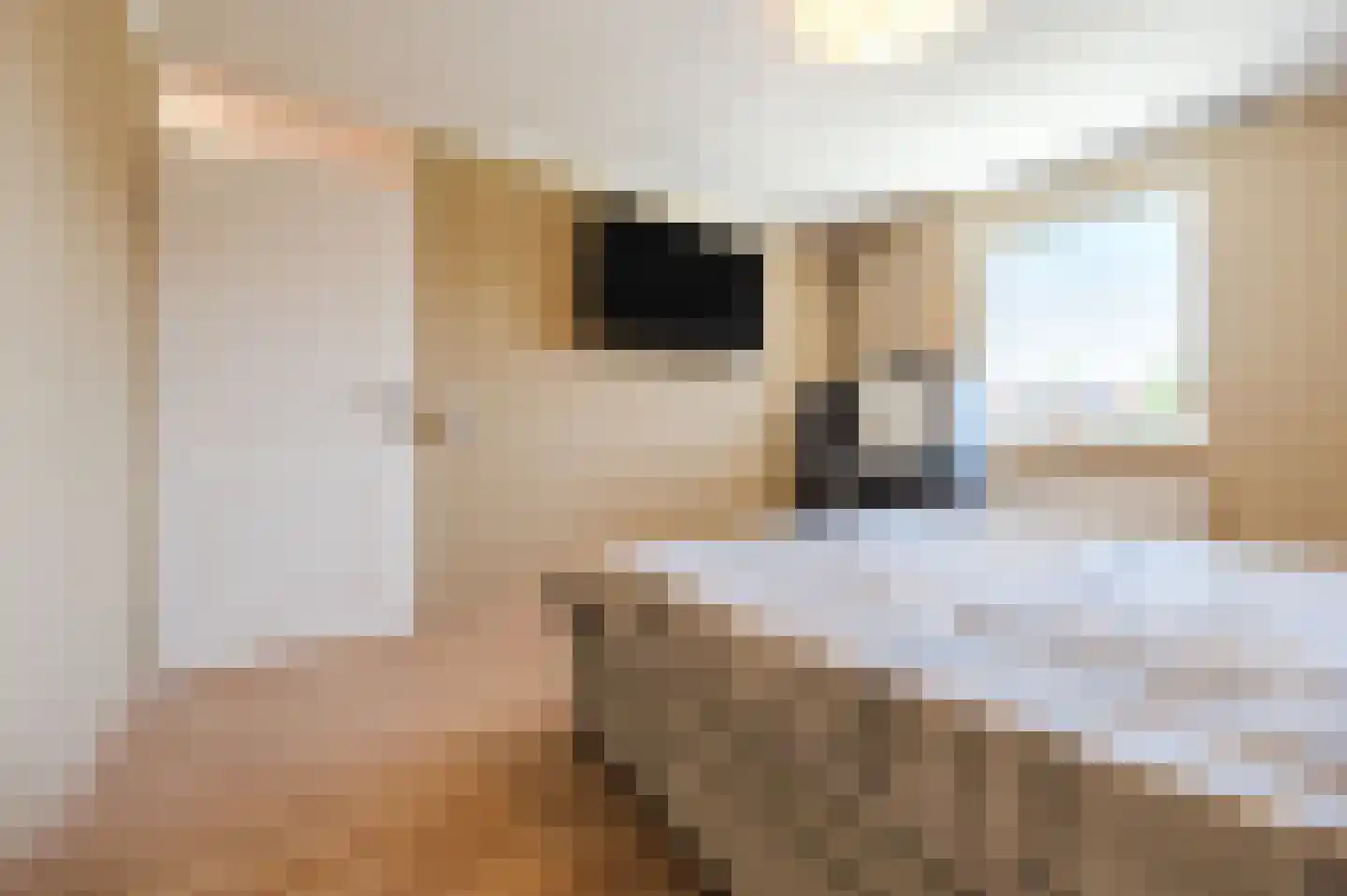 Cederlaar 71 Veghel thumbnail 23