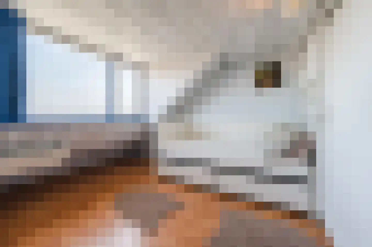 Cederlaar 71 Veghel thumbnail 33