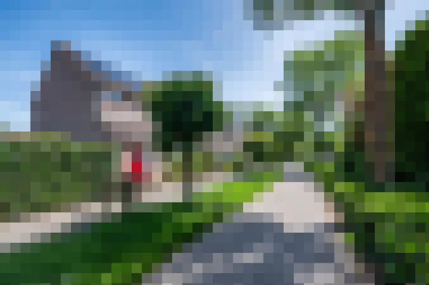 Cederlaar 71 Veghel thumbnail 8