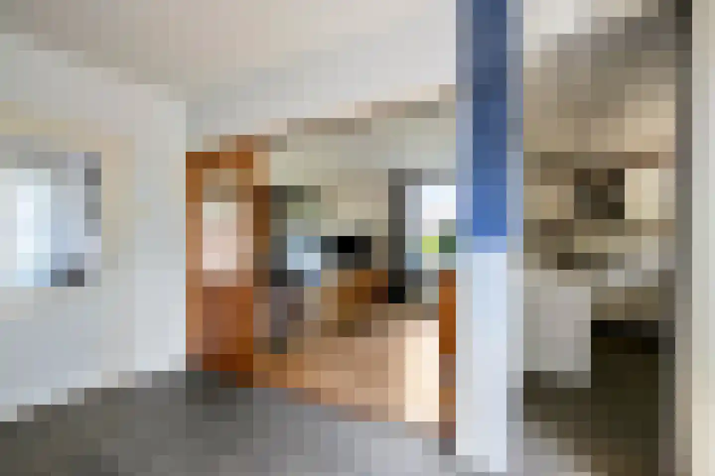 Cederstraat 1 Drunen thumbnail 15