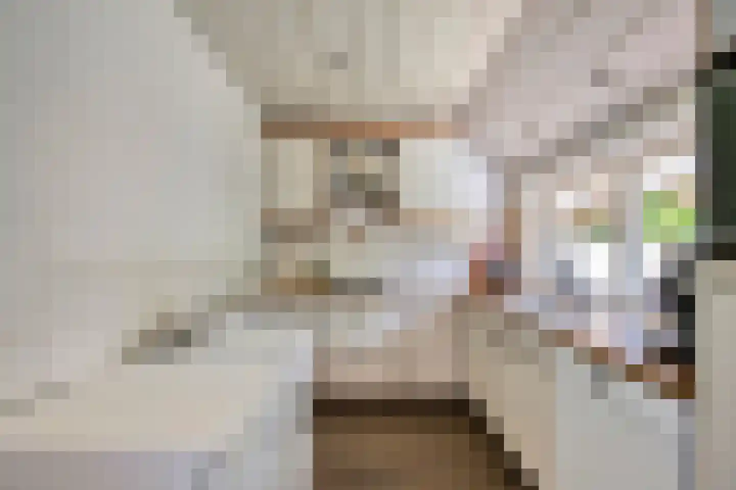 Cederstraat 1 Drunen thumbnail 16