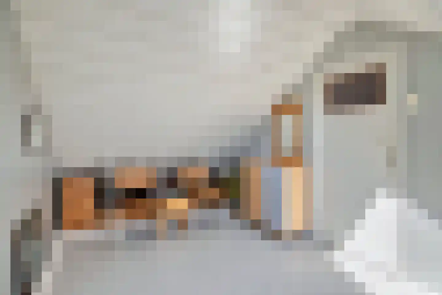 Cederstraat 1 Drunen thumbnail 29